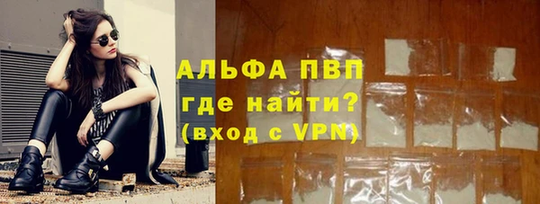 прущий лед Богданович