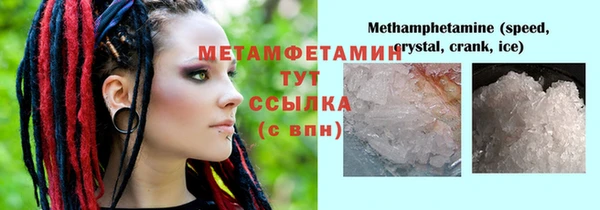 индика Беломорск