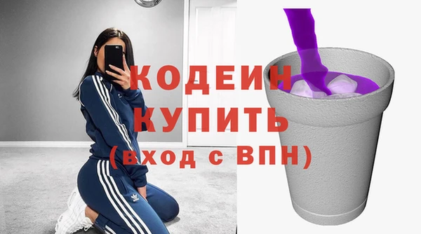 индика Беломорск