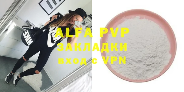 индика Беломорск