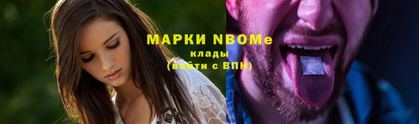 индика Беломорск