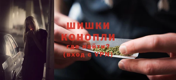 индика Беломорск