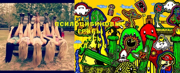 mdma Белокуриха