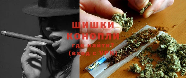 индика Беломорск