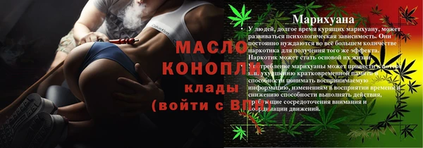 индика Беломорск