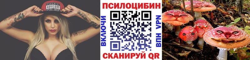 Псилоцибиновые грибы GOLDEN TEACHER  Ессентуки 