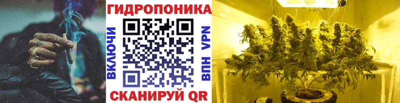 Бошки марихуана SATIVA & INDICA  Ессентуки 